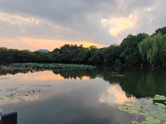 -西湖游船