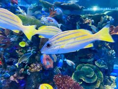 -成都浩海立方海洋公园