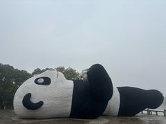 -苏州太湖国家湿地公园