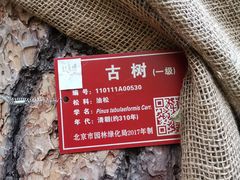 -北京上方山国家森林公园