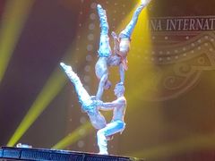 -珠海横琴长隆《卡卡虎奇遇记》