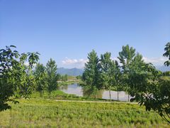 -洨河生态公园