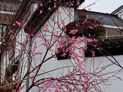 -婺源梦里老家大型山水实景演出