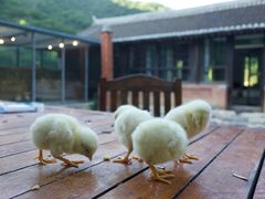 -北京山里寒舍度假酒店