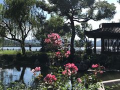 -杭州西湖柳莺里酒店·闻莺厅