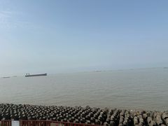 -上海滨江森林公园