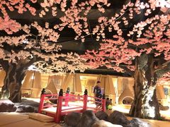 -蓝鲸湾汤泉(包河店)