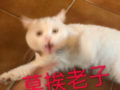 -彳亍咖啡·这里(水湾路店)