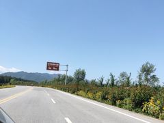 -陕西省红河谷森林公园