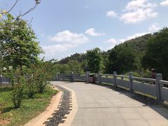 -金鸡岭桥头公园