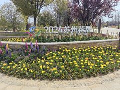 -苏州上方山国家森林公园
