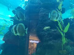 -鸿通城购物中心