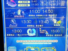 -泉城欧乐堡海洋极地世界