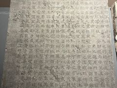 -安阳博物馆