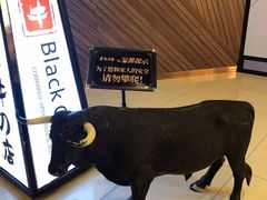 -黑牛の店·和牛烧肉(大悦城店)