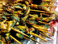 鳝鱼-晓靖轩烧烤(沙河风情店)