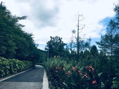 -贵阳市花溪国家城市湿地公园