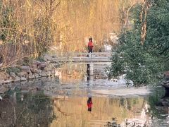 -墅园