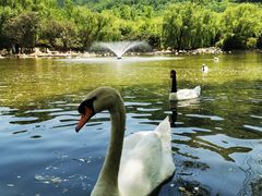 -西安秦岭野生动物园