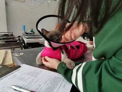 -荔康动物医院(康王北路店)