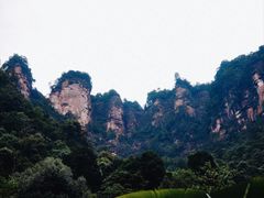 -赤水丹霞旅游区·佛光岩