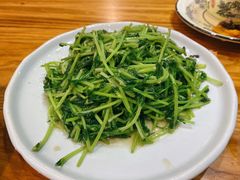 蒜泥豆苗-百家鲜·杭帮菜
