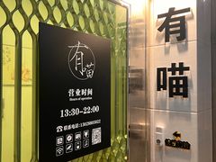 -有喵·猫咖·狗咖·30几只猫10只小狗(岗厦店)