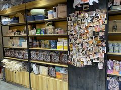 -欣宠猫屋·矮脚拿破仑·蓝金金渐层