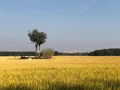 -嘉北郊野公园