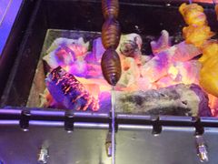 -很久以前羊肉串(大华三路店)
