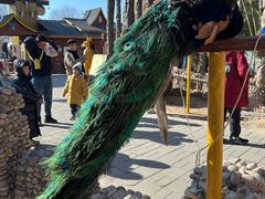 -呀路古热带植物园