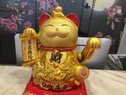 -同芙舍予专业健康美容