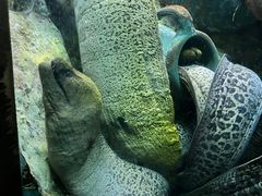 -太平洋海底世界