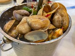 一桶黄蚬-渔娘渔家丹东海鲜(东直门店)