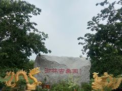 -御林古桑园