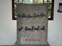 -上海醉白池公园