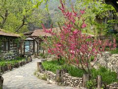 -北京水岸山吧度假村(雁栖镇店)