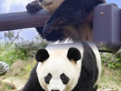 -杭州野生动物世界
