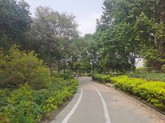 -康庄公园