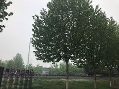 -奥帕拉拉水公园