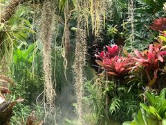 -昆明植物园