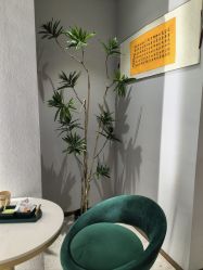 -Lily纤美·科技减脂中心