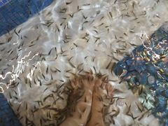 -水晶之星洗浴温泉汗蒸