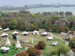 -徐州绿地皇冠假日酒店-汉宫中餐厅