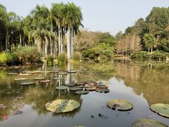 -中国科学院西双版纳热带植物园