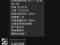 -纳吉亚猫专科动物医院博雅分院