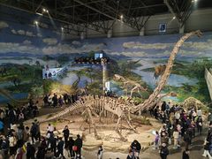 -自贡恐龙博物馆