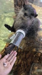 -Zoolung Zoolung动物主题公园(海信广场店)