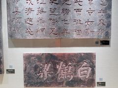 -白鹤梁水下博物馆