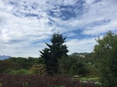 -井冈山革命烈士陵园